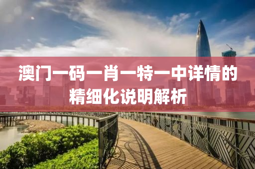 澳門一碼一肖一特一中詳情的精細(xì)化說(shuō)明解析