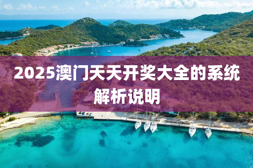 2025澳門天天開獎大全的系統(tǒng)解析說明