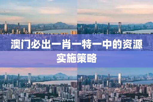 澳門(mén)必出一肖一特一中的資源實(shí)施策略