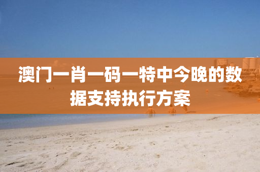 澳門(mén)一肖一碼一特中今晚的數(shù)據(jù)支持執(zhí)行方案