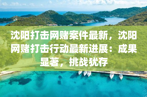沈陽打擊網(wǎng)賭案件最新，沈陽網(wǎng)賭打擊行動最新進(jìn)展：成果顯著，挑戰(zhàn)猶存