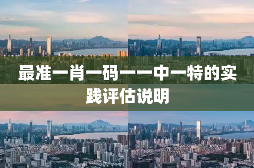 最準一肖一碼一一中一特的實踐評估說明