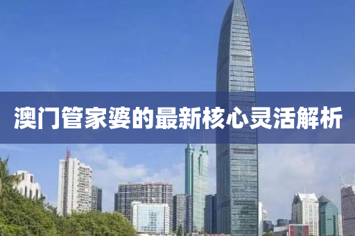 澳門管家婆的最新核心靈活解析
