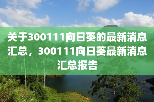 關(guān)于300111向日葵的最新消息匯總，300111向日葵最新消息匯總報(bào)告
