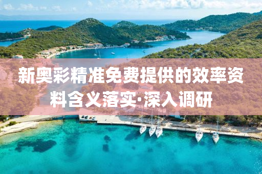 新奧彩精準(zhǔn)免費(fèi)提供的效率資料含義落實(shí)·深入調(diào)研