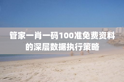 管家一肖一碼100準免費資料的深層數(shù)據(jù)執(zhí)行策略