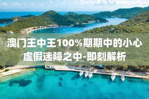 澳門王中王100%期期中的小心虛假迷障之中-即刻解析
