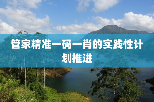 管家精準(zhǔn)一碼一肖的實踐性計劃推進