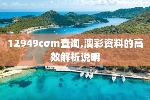 12949cσm查詢,澳彩資料的高效解析說明