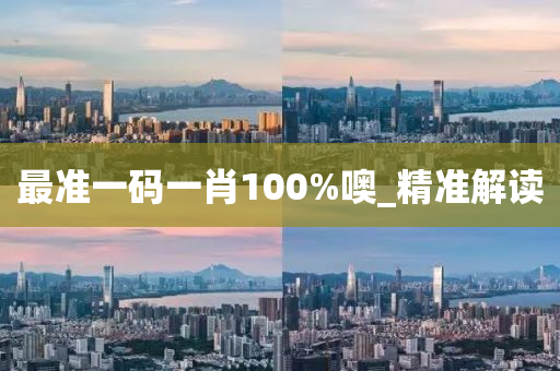最準一碼一肖100%噢_精準解讀
