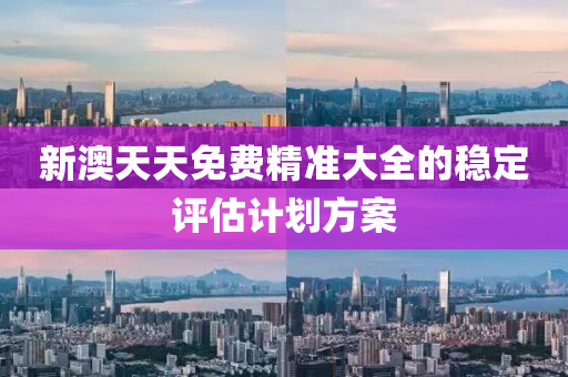 新澳天天免費精準(zhǔn)大全的穩(wěn)定評估計劃方案