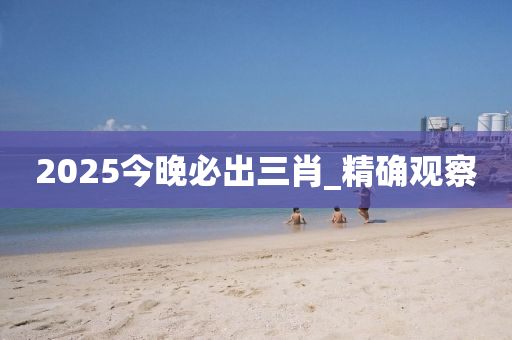 2025今晚必出三肖_精確觀察