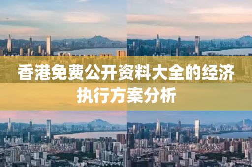 香港免費(fèi)公開資料大全的經(jīng)濟(jì)執(zhí)行方案分析