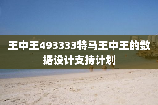 王中王493333特馬王中王的數(shù)據(jù)設(shè)計支持計劃