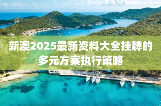 新澳2025最新資料大全掛牌的多元方案執(zhí)行策略