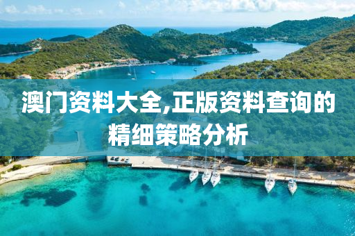 澳門資料大全,正版資料查詢的精細(xì)策略分析