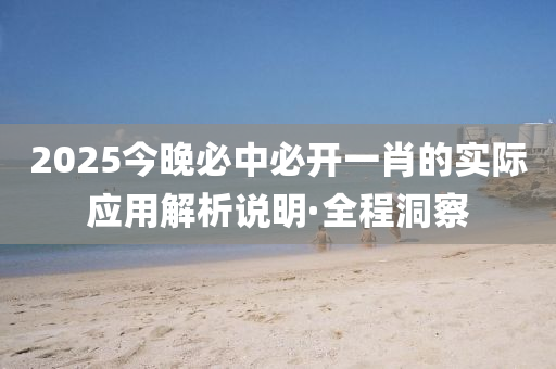 2025今晚必中必開一肖的實際應用解析說明·全程洞察