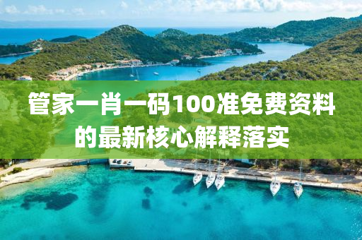 管家一肖一碼100準免費資料的最新核心解釋落實