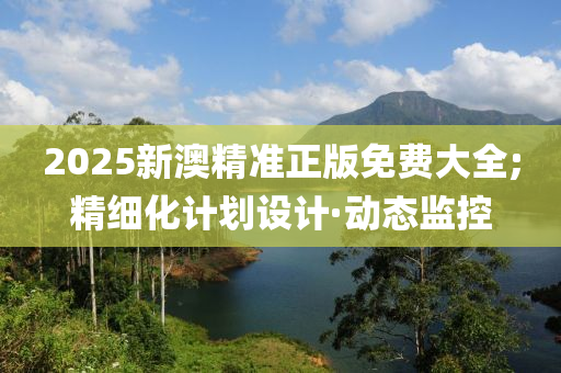 2025新澳精準(zhǔn)正版免費大全;精細化計劃設(shè)計·動態(tài)監(jiān)控