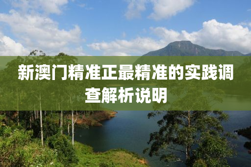 新澳門(mén)精準(zhǔn)正最精準(zhǔn)的實(shí)踐調(diào)查解析說(shuō)明