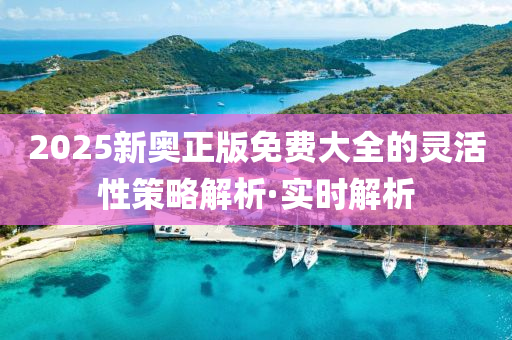 2025新奧正版免費大全的靈活性策略解析·實時解析