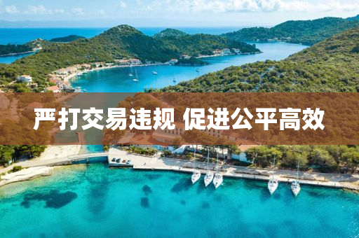 嚴(yán)打交易違規(guī) 促進(jìn)公平高效