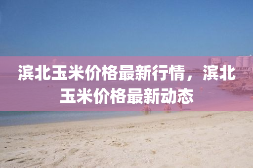濱北玉米價格最新行情，濱北玉米價格最新動態(tài)