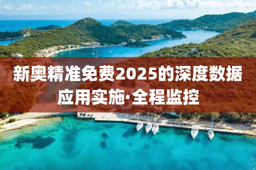 新奧精準(zhǔn)免費(fèi)2025的深度數(shù)據(jù)應(yīng)用實(shí)施·全程監(jiān)控