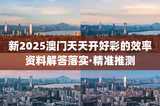 新2025澳門天天開好彩的效率資料解答落實·精準推測