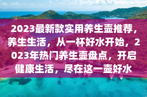 2023最新款實用養(yǎng)生壺推薦，養(yǎng)生生活，從一杯好水開始，2023年熱門養(yǎng)生壺盤點，開啟健康生活，盡在這一壺好水
