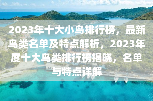 2023年十大小鳥排行榜，最新鳥類名單及特點解析，2023年度十大鳥類排行榜揭曉，名單與特點詳解
