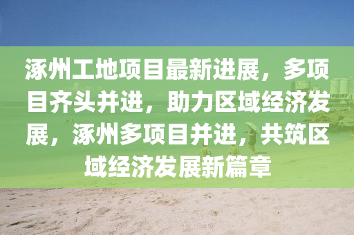 liwenzhen 第13頁