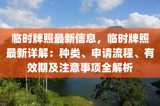 臨時牌照最新信息，臨時牌照最新詳解：種類、申請流程、有效期及注意事項全解析