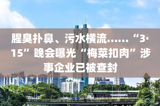腥臭撲鼻、污水橫流……“3·15”晚會(huì)曝光“梅菜扣肉”涉事企業(yè)已被查封
