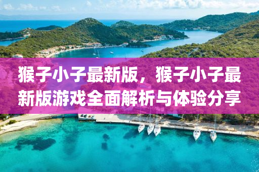 猴子小子最新版，猴子小子最新版游戲全面解析與體驗(yàn)分享