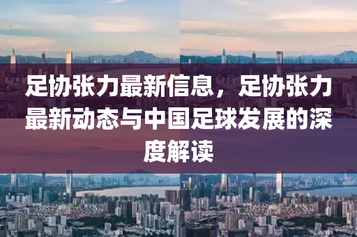 足協(xié)張力最新信息，足協(xié)張力最新動(dòng)態(tài)與中國足球發(fā)展的深度解讀