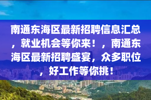 南通東海區(qū)最新招聘信息匯總，就業(yè)機(jī)會(huì)等你來(lái)！，南通東海區(qū)最新招聘盛宴，眾多職位，好工作等你挑！