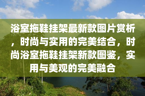 浴室拖鞋掛架最新款圖片賞析，時尚與實用的完美結合，時尚浴室拖鞋掛架新款圖鑒，實用與美觀的完美融合