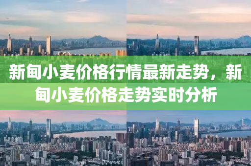 新甸小麥價格行情最新走勢，新甸小麥價格走勢實時分析