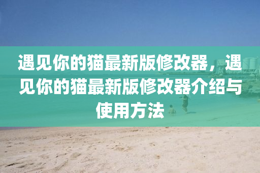 遇見你的貓最新版修改器，遇見你的貓最新版修改器介紹與使用方法