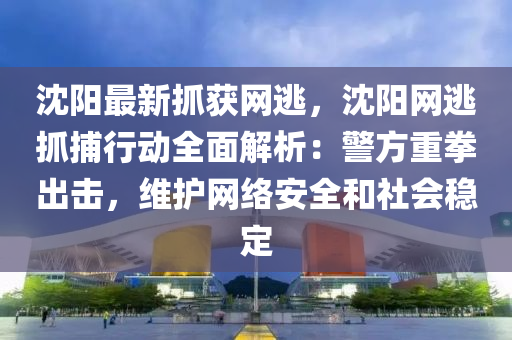 沈陽最新抓獲網(wǎng)逃，沈陽網(wǎng)逃抓捕行動全面解析：警方重拳出擊，維護(hù)網(wǎng)絡(luò)安全和社會穩(wěn)定