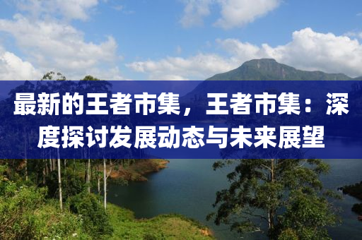最新的王者市集，王者市集：深度探討發(fā)展動(dòng)態(tài)與未來展望