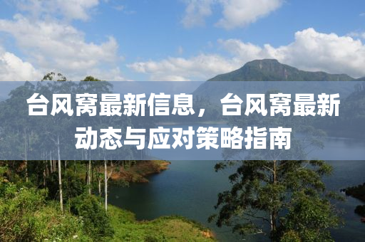 臺風窩最新信息，臺風窩最新動態(tài)與應對策略指南