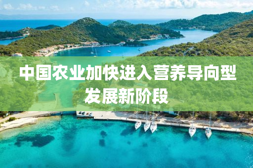 中國農(nóng)業(yè)加快進(jìn)入營養(yǎng)導(dǎo)向型發(fā)展新階段