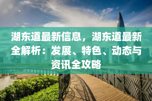 湖東道最新信息，湖東道最新全解析：發(fā)展、特色、動態(tài)與資訊全攻略