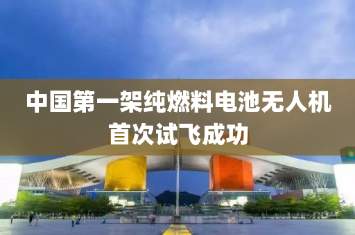 caiyahui 第12頁