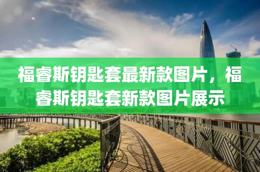 福睿斯鑰匙套最新款圖片，福睿斯鑰匙套新款圖片展示