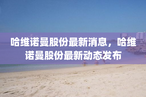 哈維諾曼股份最新消息，哈維諾曼股份最新動態(tài)發(fā)布