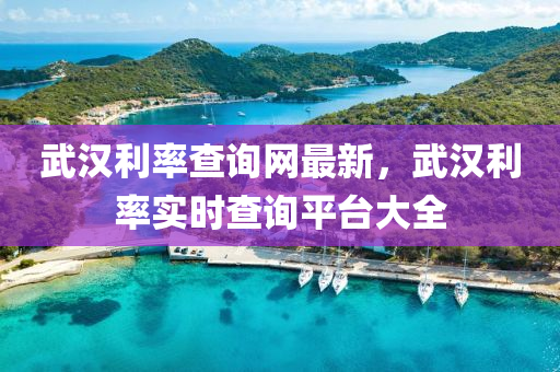武漢利率查詢網(wǎng)最新，武漢利率實時查詢平臺大全
