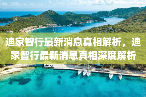 迪家智行最新消息真相解析，迪家智行最新消息真相深度解析